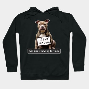 Pit bull Awareness Plea Hoodie